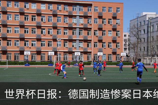 世界杯日报：德国制造惨案日本绝平荷兰 马宁首轮无缘出场